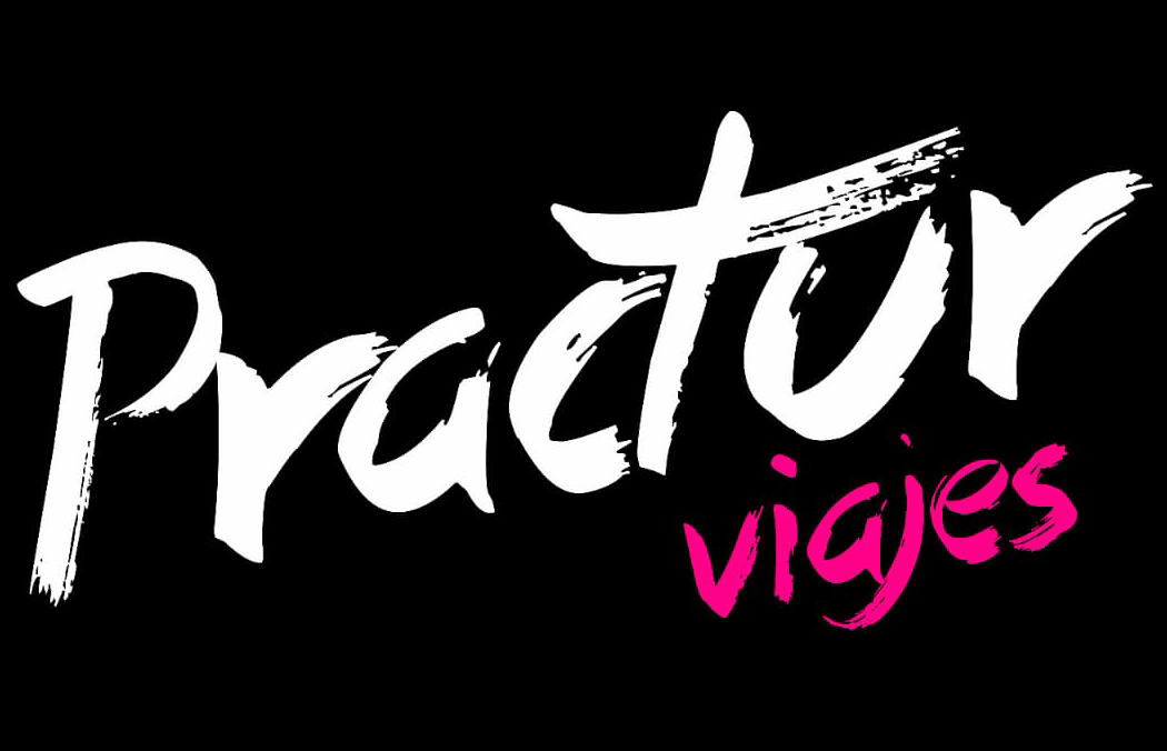 Logo-Practur2
